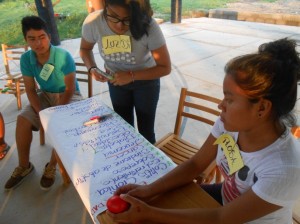 Listing the diseases affecting the community and ordering them by importance or urgency (picture by workshop participants)